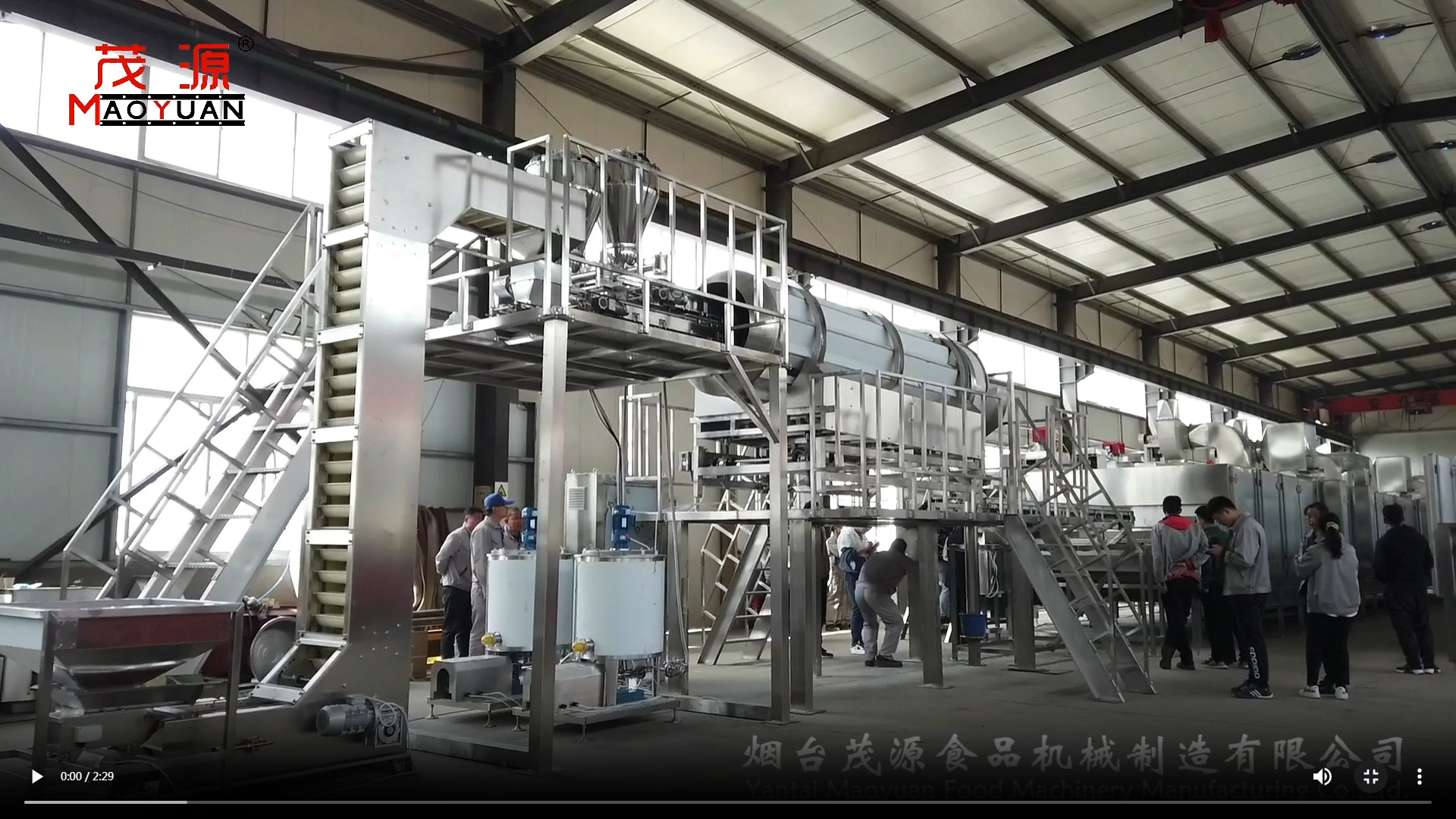 調味（wèi）果仁烘烤生產線